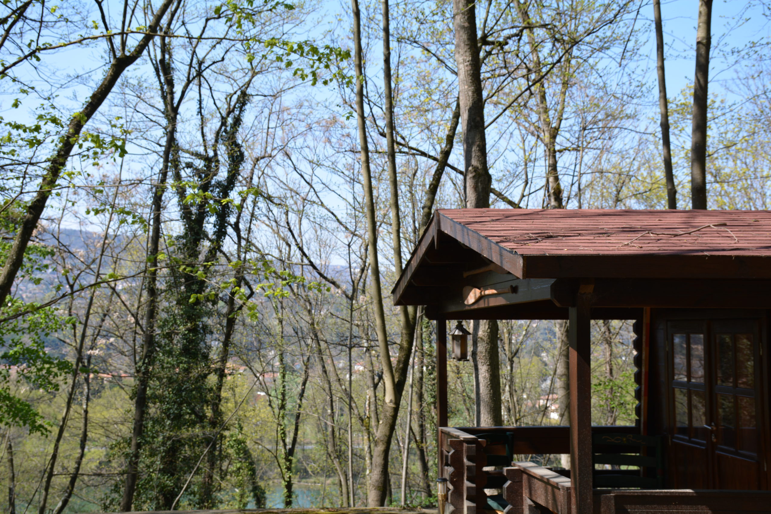 La cabane du trappeur
