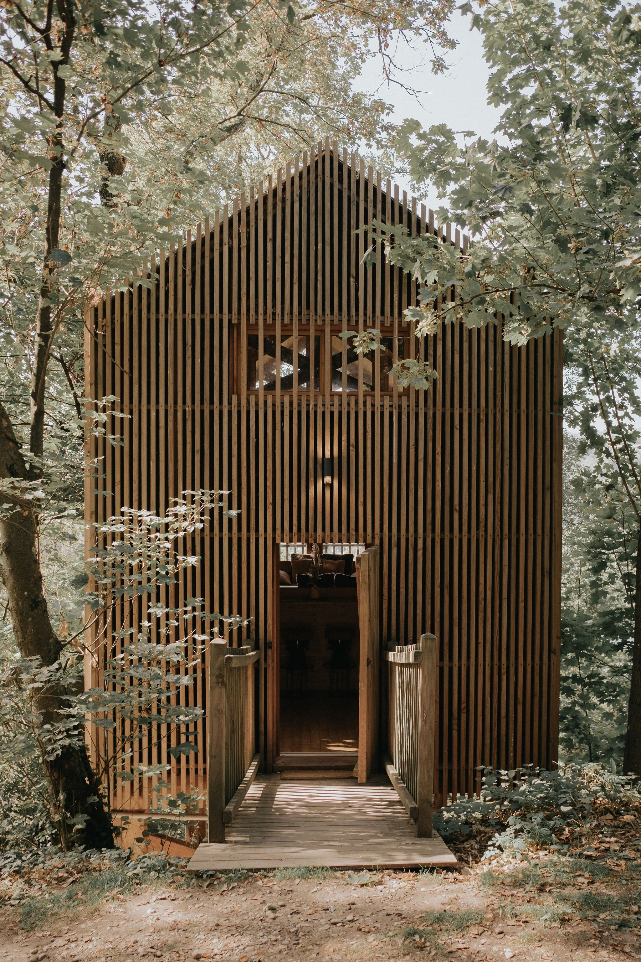 La cabane de la Saône