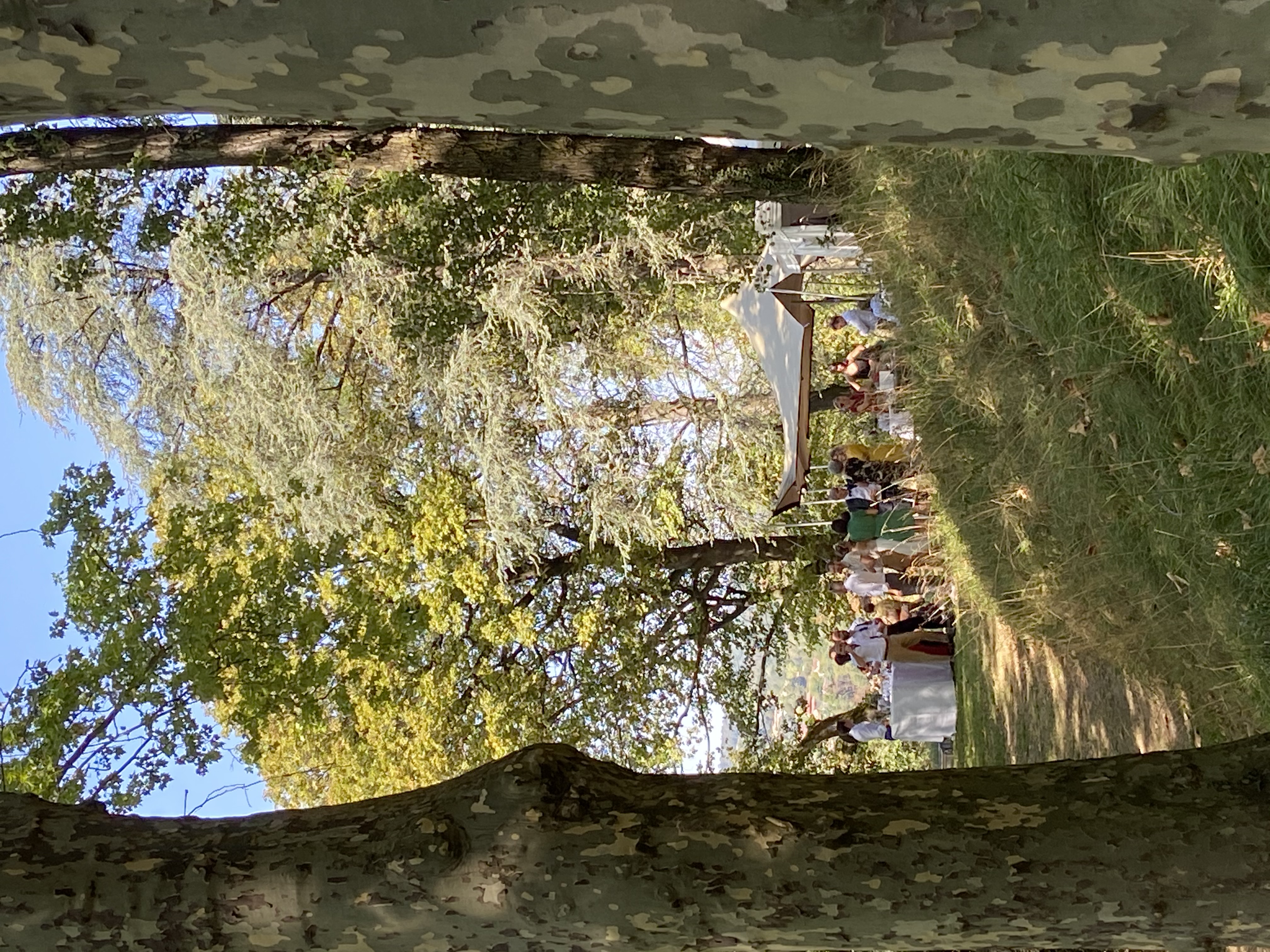 Au cœur du parc
